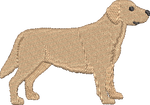 Yellow Lab
