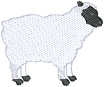 Lamb