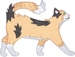 Long Hair Calico Cat