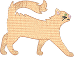 Long Hair Orange Cat