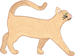 Short Hair Orange Cat