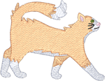 Long Hair Orange and White Cat