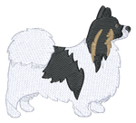 Papillon