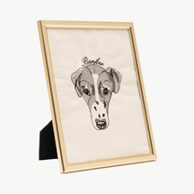 Pet Portrait