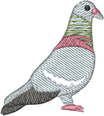Pigeon