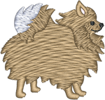 Pomeranian