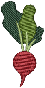 Radish
