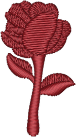 Red Rose