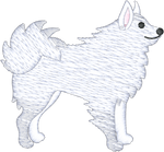 Samoyed