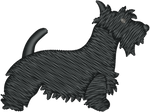 Scottish Terrier