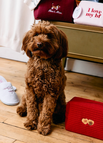 Valentine's Day Dog Waffle Pouch