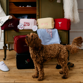 Valentine's Day Icon Waffle Pouch