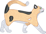 Short Hair Calico Cat