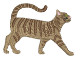 Short Hair Striped Cat