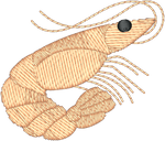 Shrimp