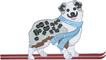 Ski Aussie Shepherd