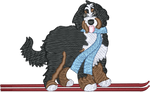 Ski Bernedoodle