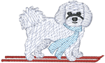 Ski Bichon Frise