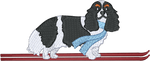 Ski Black Cavalier