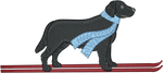 Ski Black Lab