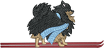 Ski Black and Tan Pomeranian