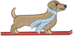 Ski Blonde Dachshund