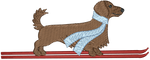 Ski Brown Longhair Dachshund