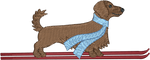 Ski Brown Longhair Dachshund