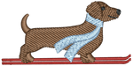 Ski Brown Dachshund