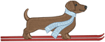 Ski Brown Dachshund