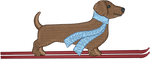Ski Brown Shorthair Dachshund