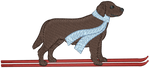 Ski Chocolate Lab