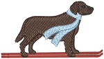 Ski Chocolate Lab
