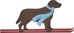 Ski Chocolate Lab