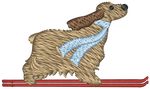 Skis Cockerspaniel