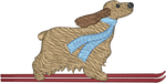 Ski Cocker Spaniel