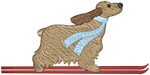 Ski Cocker Spaniel