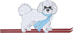 Ski Fluffy White Dog