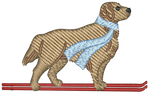 Ski Golden Retriever