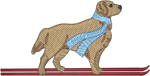 Ski Golden Retriever