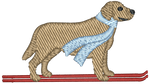 Ski Labrador Retriever