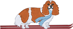 Ski Orange Cavalier