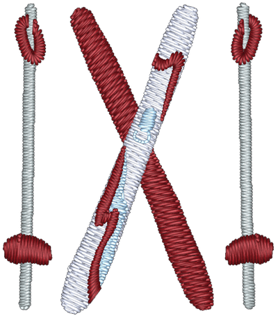 Skis Embroidered Icon