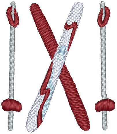 Skis Embroidered Icon