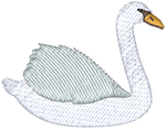 Swan