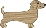 Tan Shorthair Dachshund