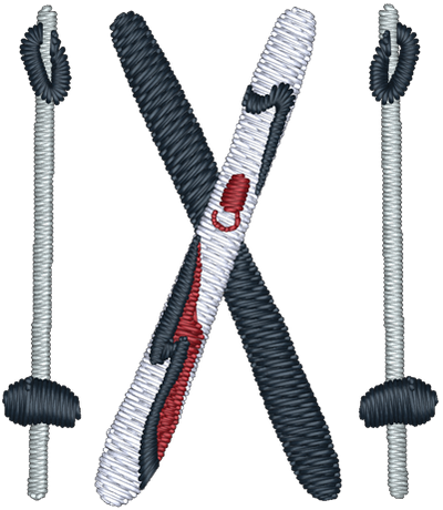 Usa Skis Embroidered Icon