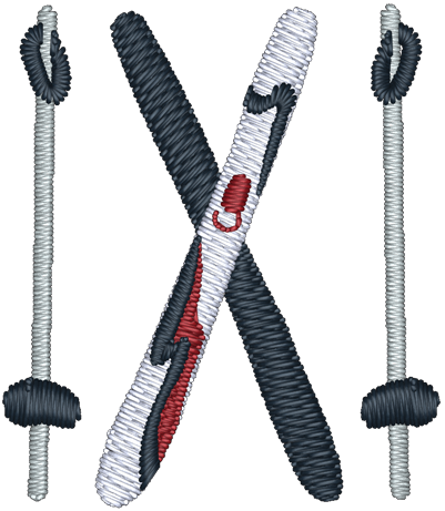 Usa Skis Embroidered Icon