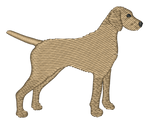 Vizsla