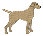 Vizsla